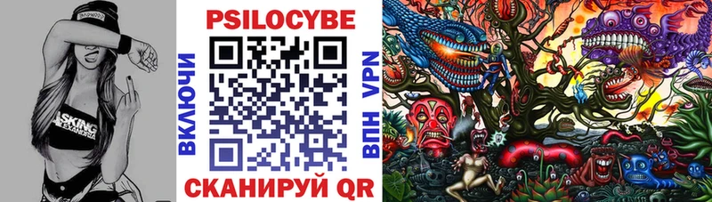 Купить  Мариинский Посад  Псилоцибиновые грибы Psilocybine cubensis 